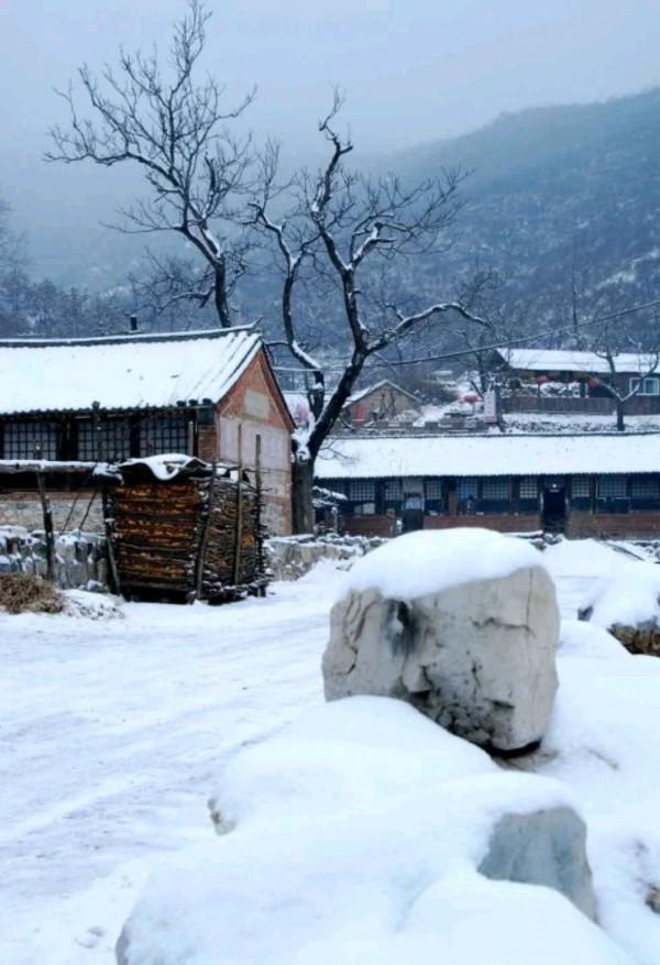 散文:大雪,深情的詩畫 散文:大雪,深情的詩畫