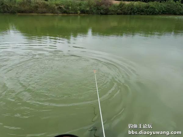 山塘戲馬口,驚喜真的有 山塘戲馬口,驚喜真的有
