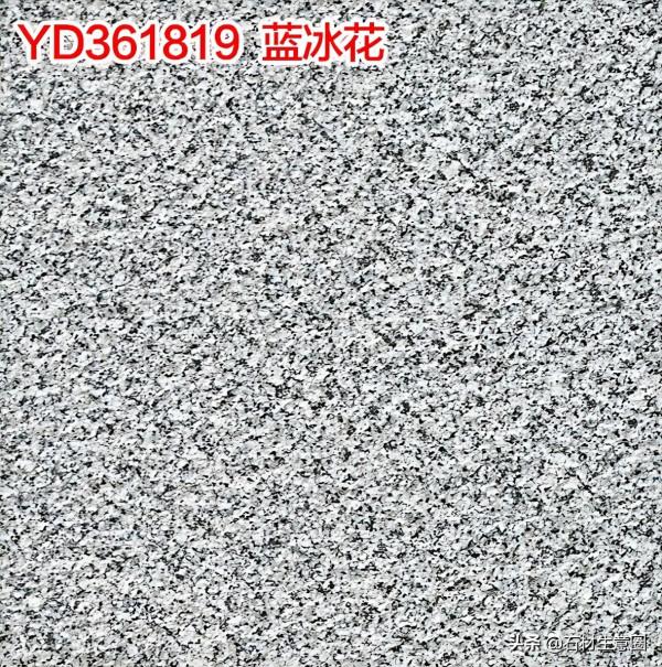 生態地鋪石欣賞