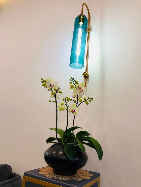 線下體驗 | D.T.狄分尼提杜比全景聲體驗館入駐永康