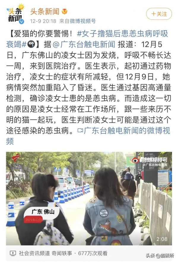 恙蟲病、鸚鵡熱、蠕形蟎、頭癬…吸貓風險這麼高？