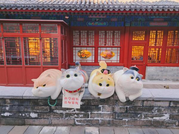 北京之故宮隨行，欣賞古建築的美輪美奐