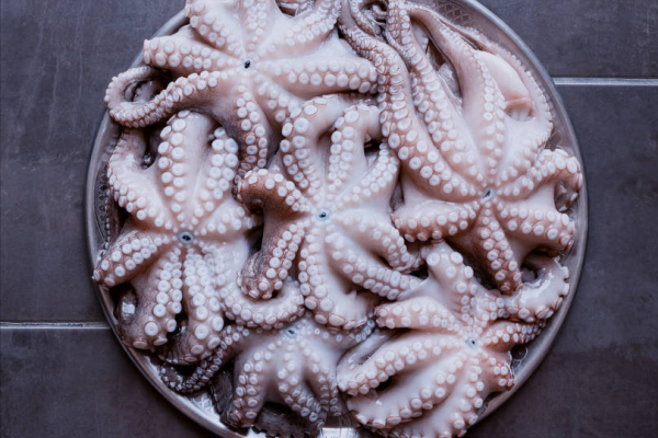 煮八爪魚,別等水開再下鍋,不然嚼不動,漁民教你3招,鮮香爽脆 煮八爪魚,別等水開再下鍋,不然嚼不動,漁民教你3招,鮮香爽脆