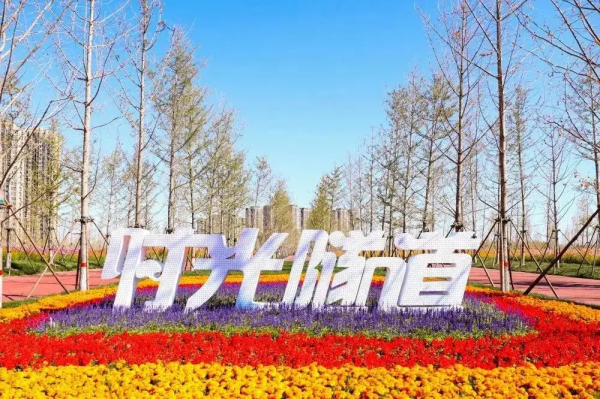 拾一片銀杏葉，藏住最美“秋韻”！