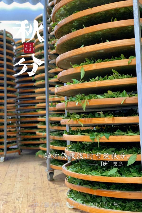 洗茶真的更加衛生嗎?白茶、綠茶、紅茶,都需要洗一遍才能喝? 洗茶真的更加衛生嗎?白茶、綠茶、紅茶,都需要洗一遍才能喝?