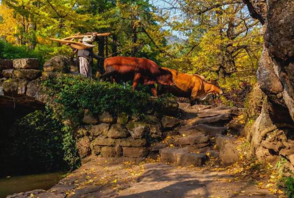 11月，必去的10個古村落，每一個都美得獨特，讓你不想離開