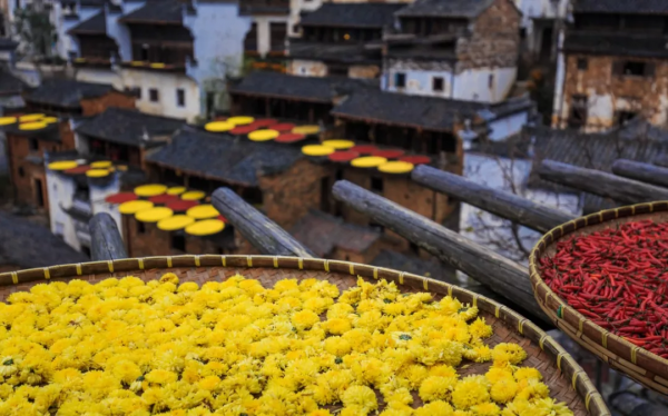 中秋夜，月圓人圓，來場“滋陰”活動——曬月亮