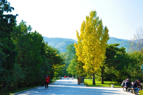 北京市屬公園賞秋指南