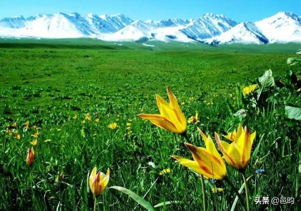 世界上最美的高山草原——那拉提草原