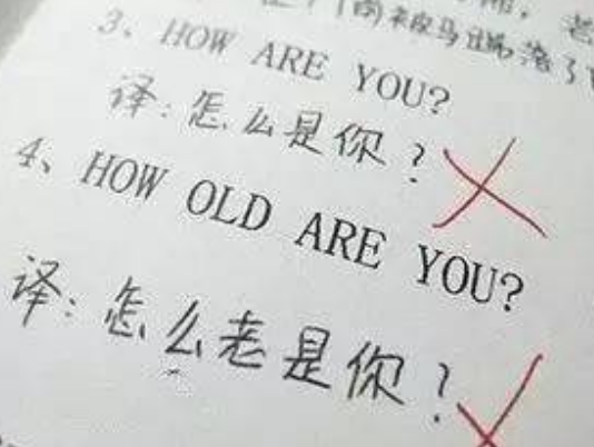 小學生作業走紅，家長氣得牙癢癢，“母慈子孝”變“雞飛狗跳”