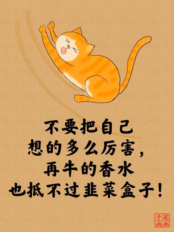 2022經典睿智的貓言貓語人生哲理大全