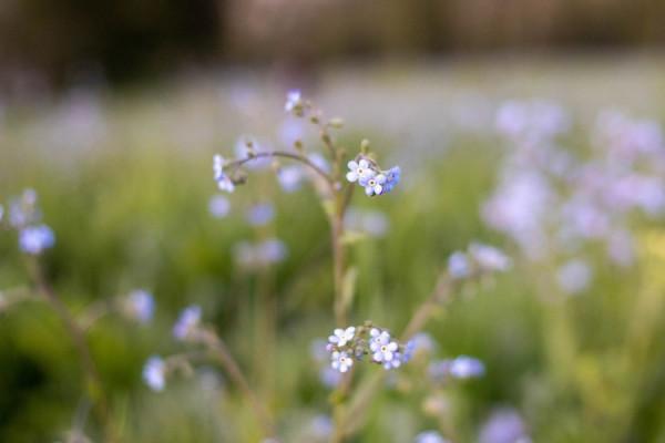 天秤座運勢9.20-26,更關注經濟的重要性,渴望獲得更好的生活 天秤座運勢9.20-26,更關注經濟的重要性,渴望獲得更好的生活
