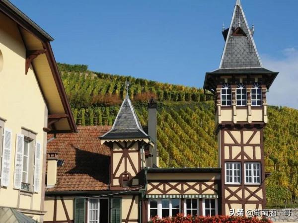 阿爾薩斯，怪得很的葡萄酒產區