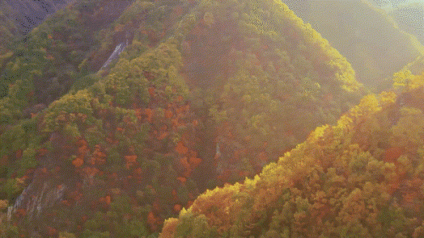 惠遊金秋,雞冠洞的炫彩千萬別錯過 惠遊金秋,雞冠洞的炫彩千萬別錯過
