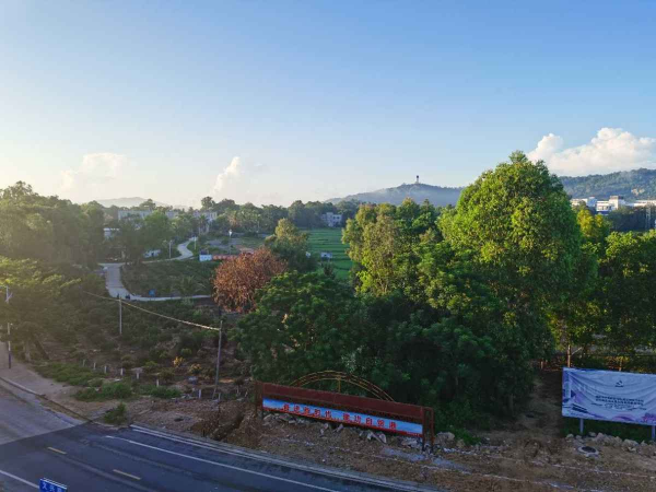 父母非要去鄉下養花，攔都攔不住，兩個月後卻吵著要回家