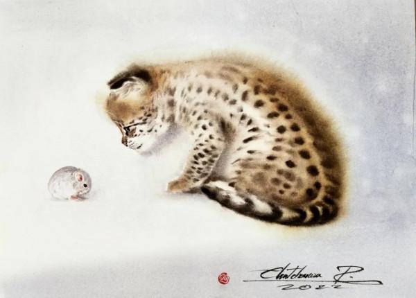 泰國貓王和他的水彩貓帝國