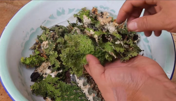 雲南美食天花板，當地人天天吃不膩，外地人一聽名字被勸退