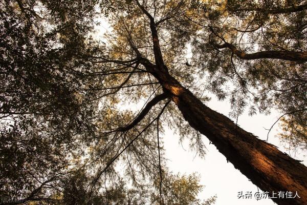 參透人情，無往不勝