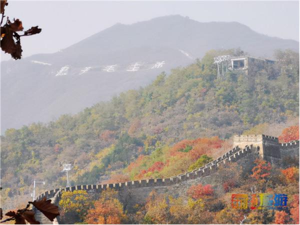 領略深秋慕田峪長城的層林盡染 感受明長城文化的精華 領略深秋慕田峪長城的層林盡染 感受明長城文化的精華