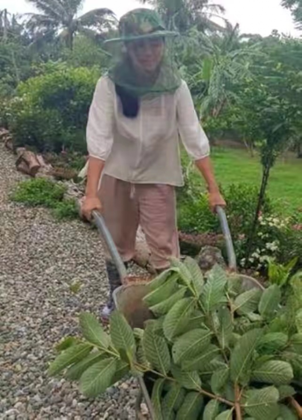 金鐘視後田麗曝近況，兩段婚姻失敗後單身一人，或來內地直播賣貨