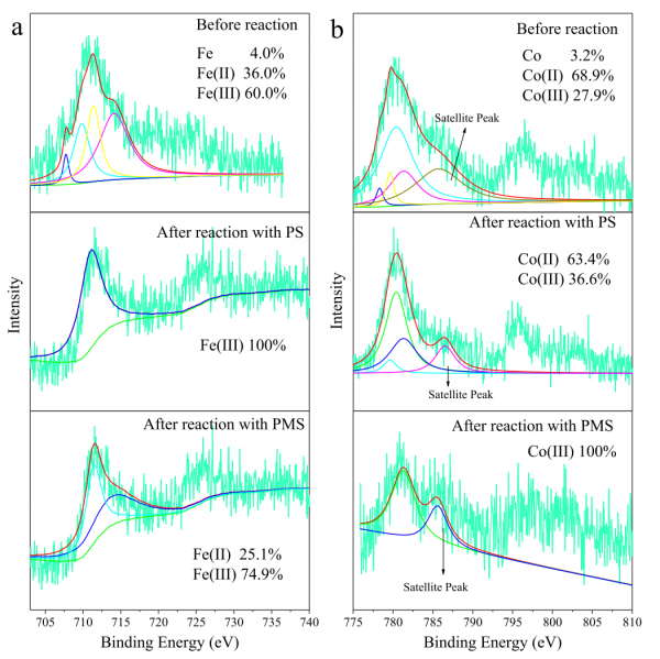 Co/Fe@CNFs催化劑及其在硫酸根自由基氧化技術中的應用