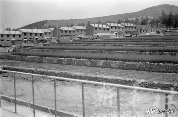 煙臺棲霞縣六十至八十年代老照片