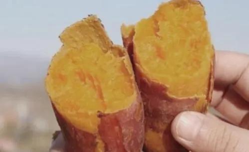 紅薯加飼料粉的自然霧化效果，是釣大個體魚的好選擇