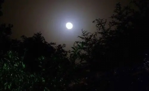 女子鬱悶亡故，忠僕劈棺救主，避火災找情郎相幫，遭劍刺命不該絕