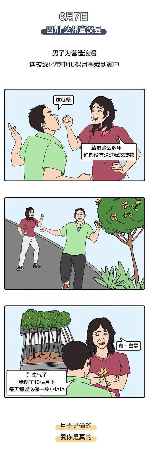 漫畫：馬上年關了，小偷們應該會衝業績了