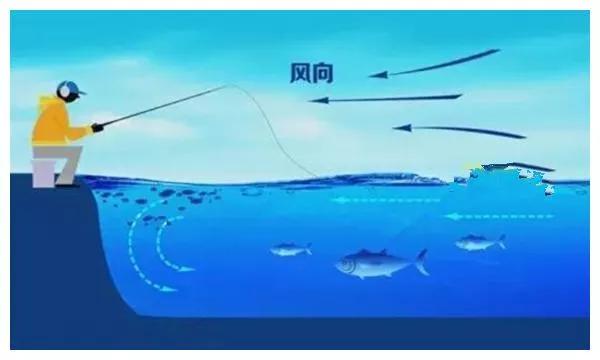釣魚技巧:野釣如何釣大魚 釣魚技巧:野釣如何釣大魚