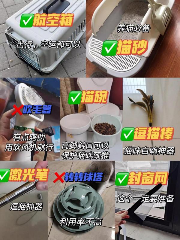 為什麼你養貓很費錢？原因在這呢