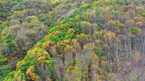 ​十月的喇叭溝彩葉漫山溪水潺潺美翻啦! ​十月的喇叭溝彩葉漫山溪水潺潺美翻啦!