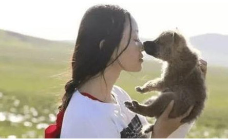 李微漪&quot;中國第一狼女&quot;：十年前賣房救狼養狼，十年後與狼再次相逢