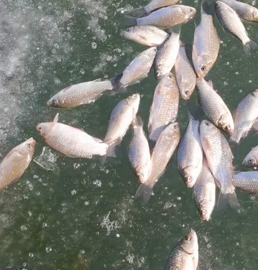 冰釣裝備最大坑！不是竿，不是線，不是輪，你能想到竟是箱子麼？