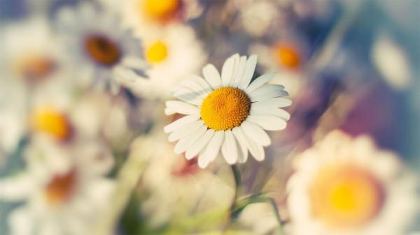 孔子：做人做事從這九個方面思考，便能擁有頂級智慧了