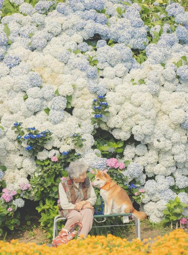 你有多久沒有回家看看了