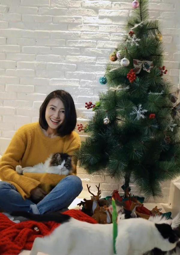 再來一波高圓圓，真是女神