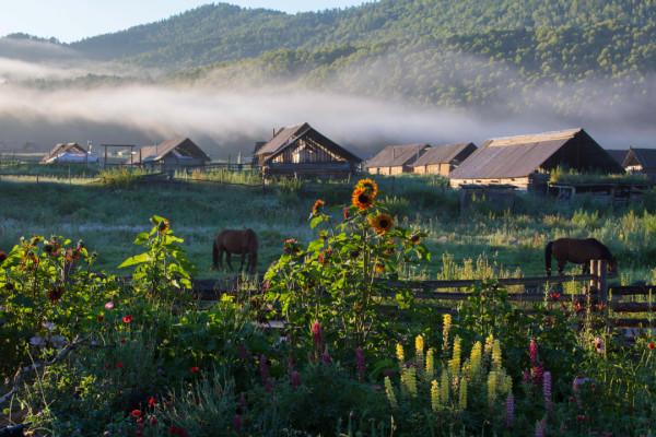 多少人的夢想!湖南姑娘用5年,在新疆禾木打造了個絕美花園 多少人的夢想!湖南姑娘用5年,在新疆禾木打造了個絕美花園