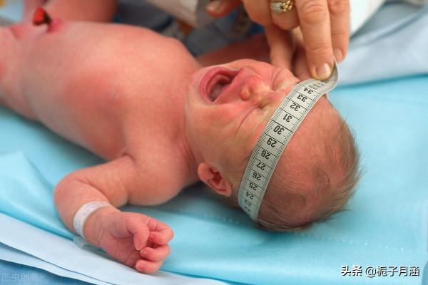如何判斷新生兒生長髮育是否健康?這4項基本指標告訴你 如何判斷新生兒生長髮育是否健康?這4項基本指標告訴你