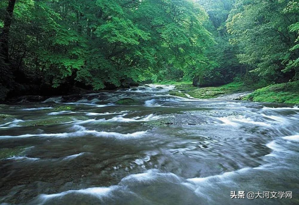 驚遊盛景 | 作者：常玉國