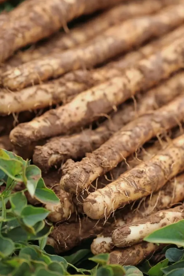 全國立冬喝湯地圖，一碗下去，全身都暖和了