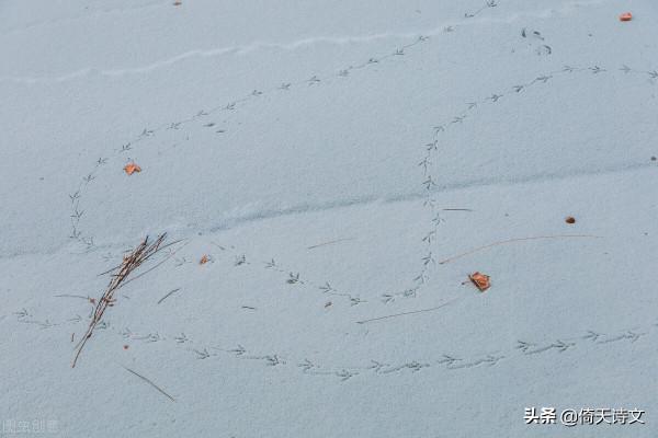 九首詩詞，願中年的你不再焦慮，坦然面對生活