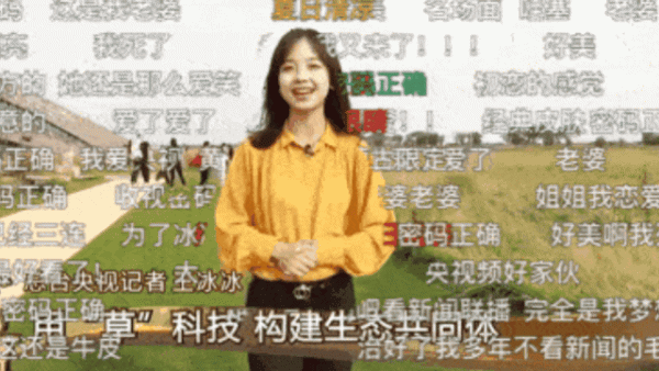 公認的央視高顏值主播，有人一路高歌，有人卻成“負面模板”