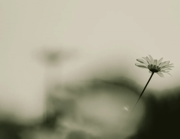 四大名著40句大俗話：話俗，理不俗！