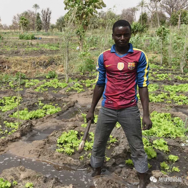 非洲的眼淚，為何如此貧窮｜地球知識局