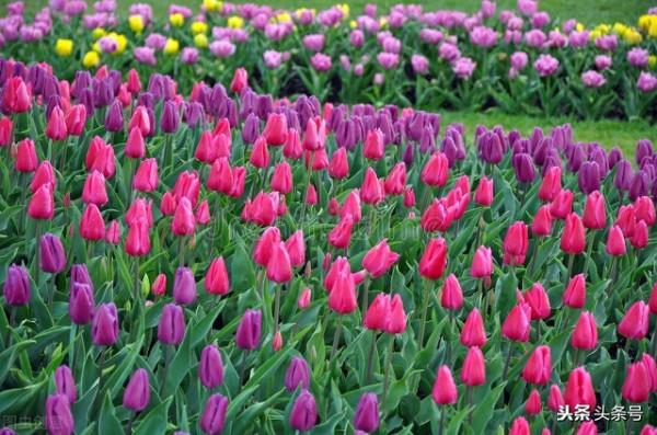 女人要富養自己 寵愛自己 女人要富養自己 寵愛自己