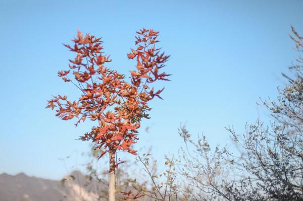 北京徒步登山:人少且免費的爬山步道,房山石花洞鳥語林風景區 北京徒步登山:人少且免費的爬山步道,房山石花洞鳥語林風景區