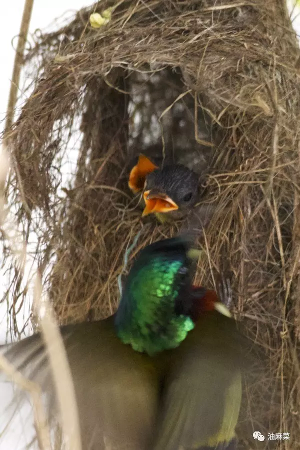 瀟灑離家的時候，你看不到媽媽的表情