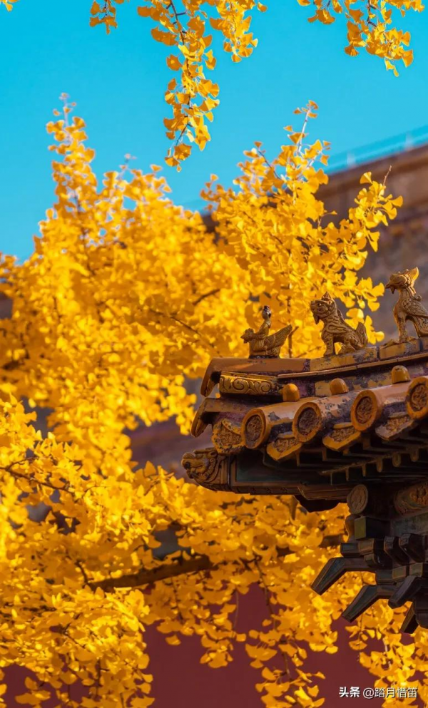 如果沒有疫情，此刻我勸你一定要去一趟北京...