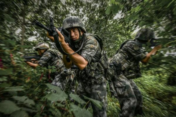 第71集團軍&OpenCurlyDoubleQuote;中野虎師&rdquo;：&OpenCurlyDoubleQuote;虎&rdquo;為榮譽名，虎氣霸屏！